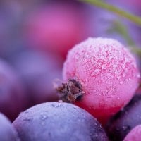 Frozen berries