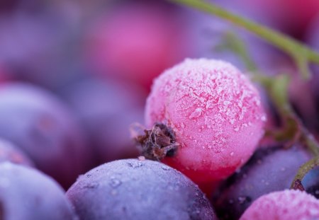 Frozen berries