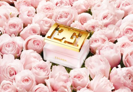 ω✿ω Delicate Notes ω✿ω - precious, flowers, fresh, golden, friday, bride, forever, beautiful, pink roses, fragrance, present, lovely, love, heavenly, nature, design, bright, bunch, pastel