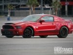 Supersnake Widebody