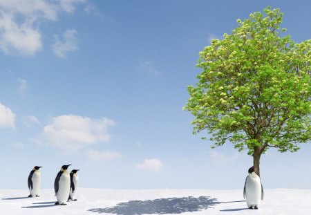 Something is Wrong - penguins, trees, nature, snow