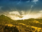 sun rays over lovely landscape