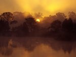 misty sunrise on a lake