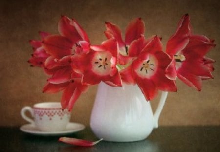 Poppies in white - white, poppies, petal, red, cup