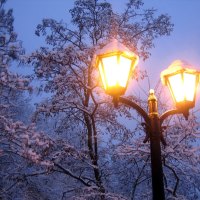 Lanterns and Snowy Trees