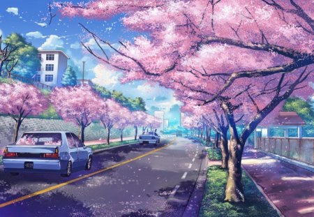 Cherry Blossoms - anime, scenery, blossom, scene, plant, car, view, sky, breeze, house, sakura, cherry blossom, road, scenic, lovely, sakura blossom, sweet, flower, petals, shadow, tree, street, wind, nature, motorcar, cloud, shade, floral, building