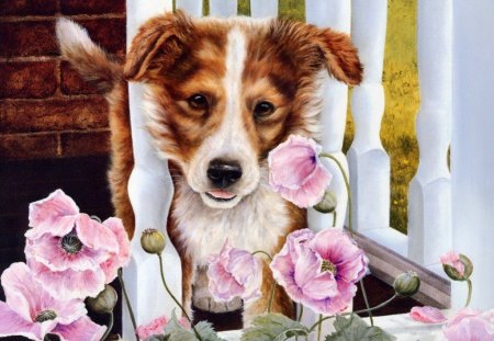 Cute puppy - pretty, poppies, summer, dog, spring, flowers, pet, garden, puppy, yard, nice, beautiful, lovely, sweet, fence, painting, cute, adorable