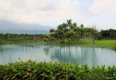 Beautiful lake view - meadows, lake, reflection, beautiful, tree