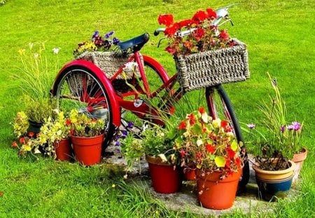 Bicycle in garden - grass, colors, natural, flowers, flower pots, nature, red, green, arrangement, garden, plants, bicycle