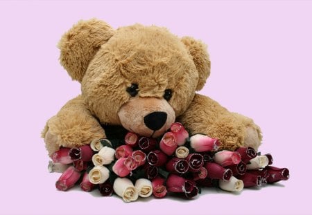 For You With Love - love, roses, valentine, still life, valentines, valentines day, flowers, teddy, teddy bear