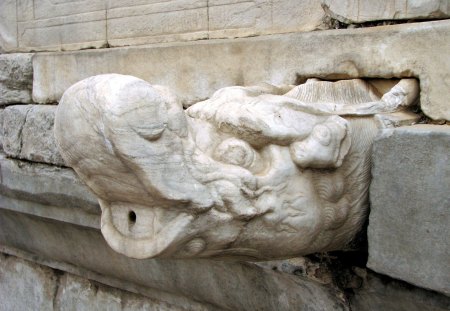 Forbidden City - limestone, drainage, forbidden city, dragons head