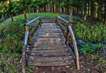 beautiful little wood bridge in a forest hdr - bridge, forest, brook, hdr