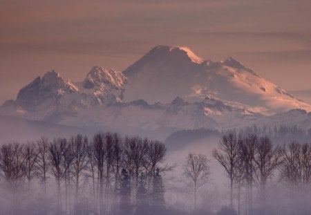 wondrous mount baker in washington - trees, winter, mountain, most