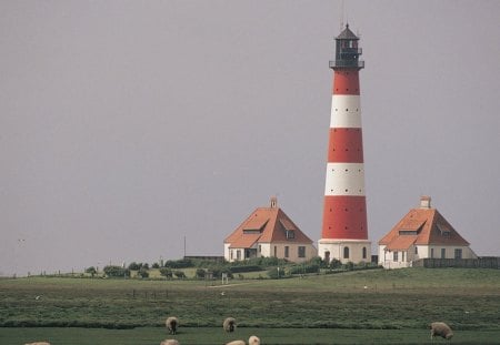 tall lighthouse in a french countryside - sheep, pasture, lighthouse, mist