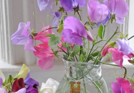 â€¢âœ¿â€¢ Delicate Pink â€¢âœ¿â€¢ - love, fresh, bouquet, simple, wonderful, nature, crystal, purple, forever, pink, beautiful, jug, flowers, small, lavender