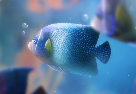 Blue fish - aqua, anime, water, yellow, purple, blue, fish