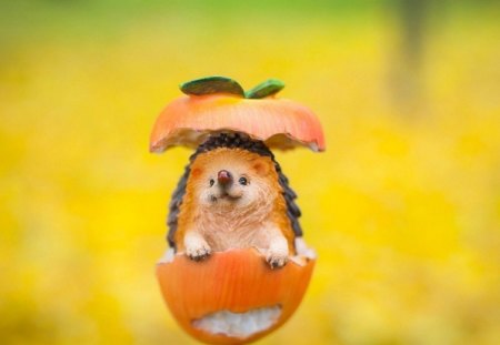 Hedgehog - toy, yellow, pumpkin, hedgehog