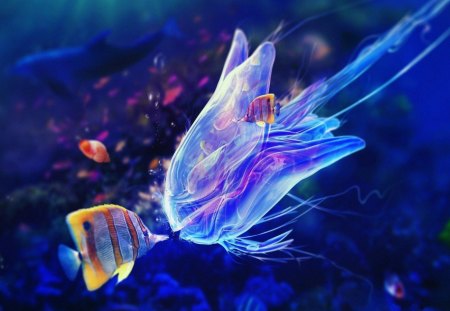 Exotic fishes and jellyfish - water, yellow, blue, pink, aqua, jellyfish, animal, red, exotic, shark, fish