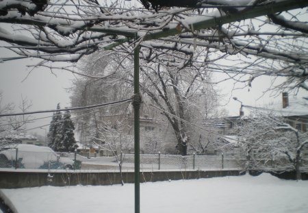 snow, snow - snow, natutre, winter, love