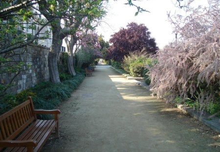 Montjuic Park - Montjuic Park, flowers, Barcelona, Spain