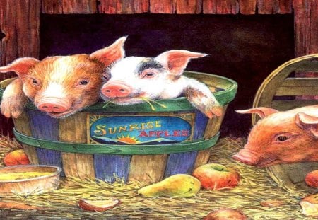 3 Little Pigs