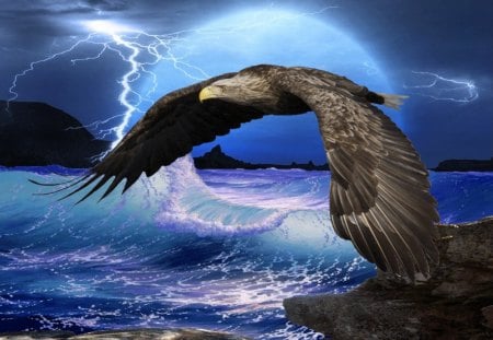 eagle art - bird, american, eagle, flying, bold eagle, wallpaper