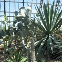 A green day at Edmonton garden 23
