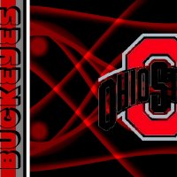 2013 ATHLETIC LOGO OF THE OHIO STATE UNIVERSITY