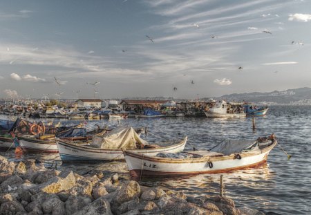 wonderful fishing harbor marina hdr - fishing, harbor, boats, marina, hdr