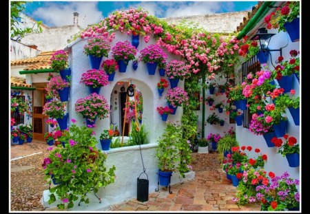 Gardens in pots - flowers, pots, hanging, decor, colors, home