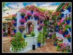 Gardens in pots