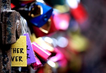 locks of love - glare, colour, locks, blurry, macro, couple, lovers