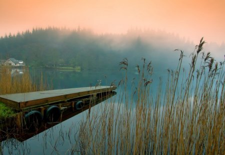 Misty Morning at Lake - dust, water, pier, mist, sun