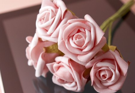 Pink - roses, nature, pink roses, beauty, bouquet, pastel, softness