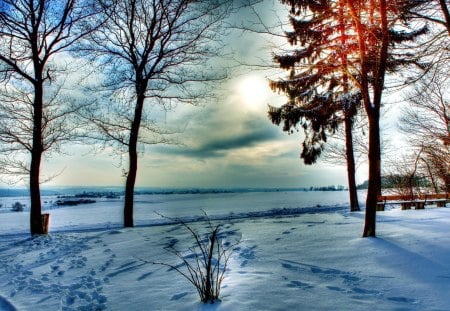 WINTER VIEW - lake, bench, winter, trees, nature, snow, skyline hdr, season