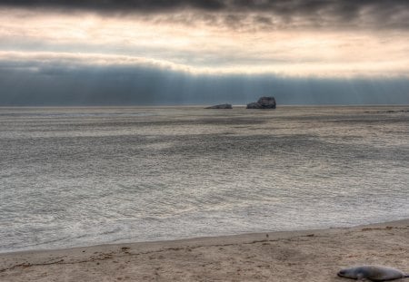 seal beach - beach, clouds, seal, sea, sun rays