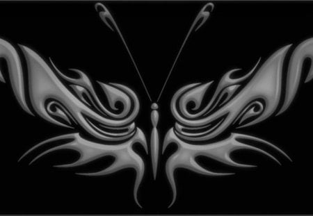 chrome butterfly - butterfly, black, chrome, silver