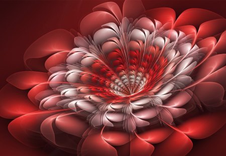 red and white feather - white, art, red, frather, abstraxt, flower