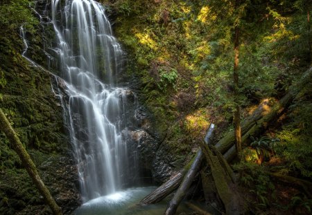 Berry Creek Falls ~ California - Trees, Grass, Rocks, Waterfall