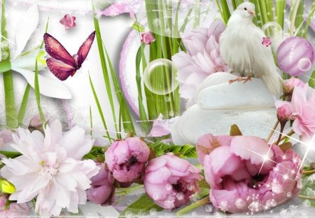 Dove in the Garden - star, papillon, bird, summer, dove, spring, pink, brilliant, leaves, flowers, peony, garden, sparkle, pigeon, fleurs, peonies, bubbles, butterfly