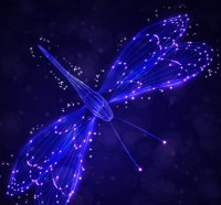 Dragonfly Lights