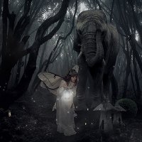 Fairies and Elephants