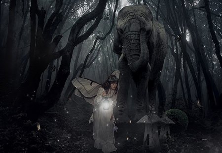 Fairies and Elephants - elephant, forest, dark, fairy, black