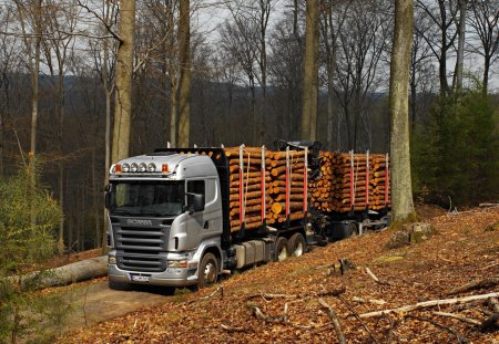 Scania r470 - scania, road, forest, tree