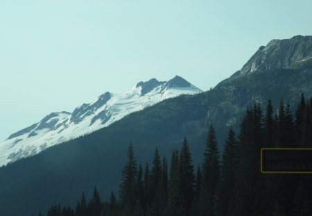 The Rockies mountains in BC - Canada 07 - Mountains, trees, white, green, photography, snow, summit