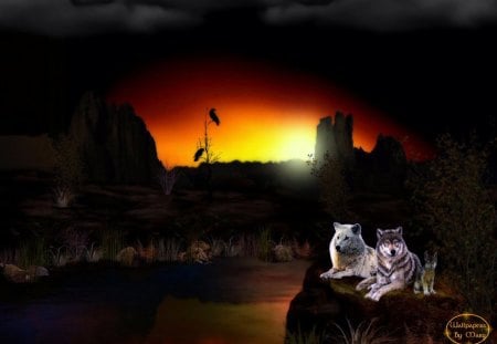 Night Of Fire 1280x1024 - wolves, lakes, wolf, animals, sunsets