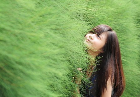 asian beautiful girl - girls, face, tree, asians