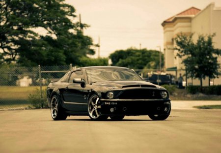 black mustang - black, road, car, mustang