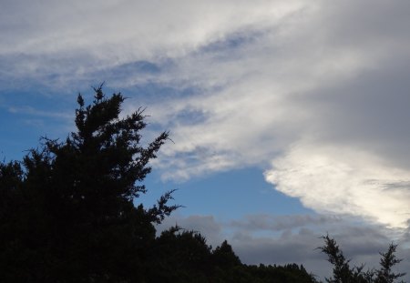 A Storm Rolling In - sky, trees, white clouds, clouds