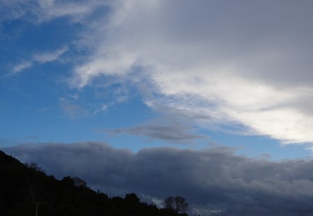 White and Gray Clouds - clouds, white clouds, trees, gray clouds, sky